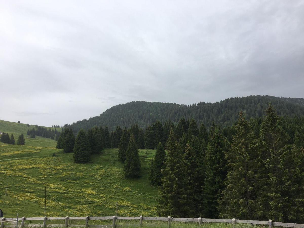 Rifugio Garibaldi ليدرو المظهر الخارجي الصورة