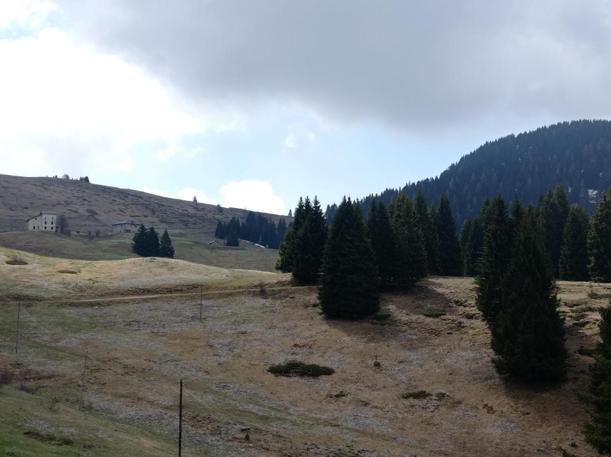 Rifugio Garibaldi ليدرو المظهر الخارجي الصورة